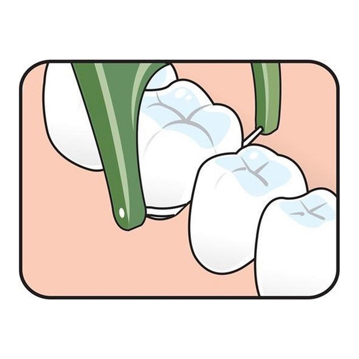 Tepe Mini Flosser